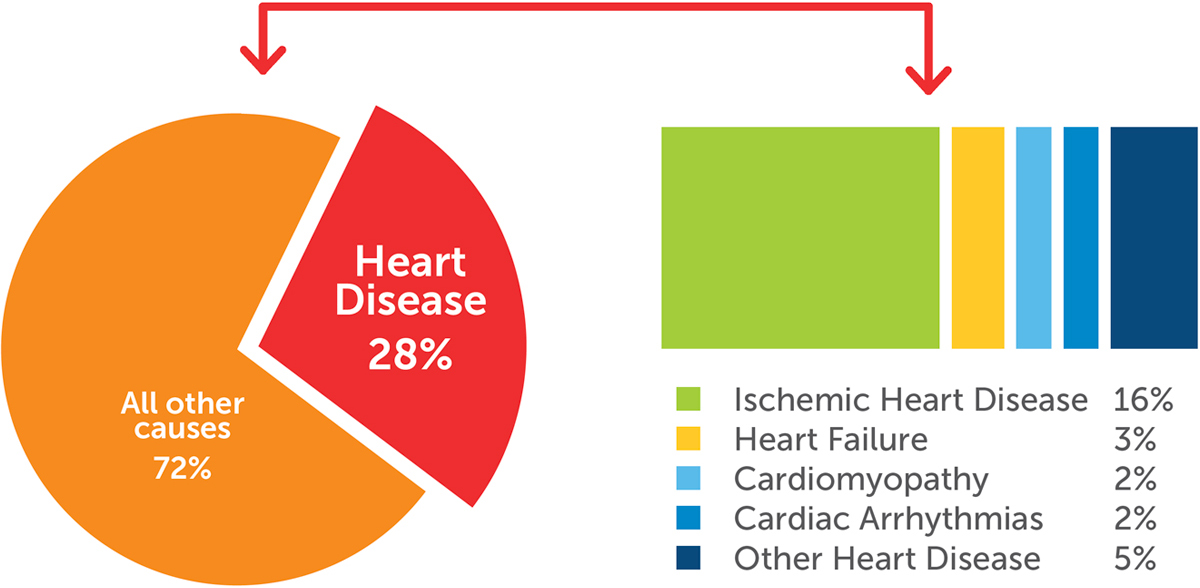 Alaska death causes vs heart disease