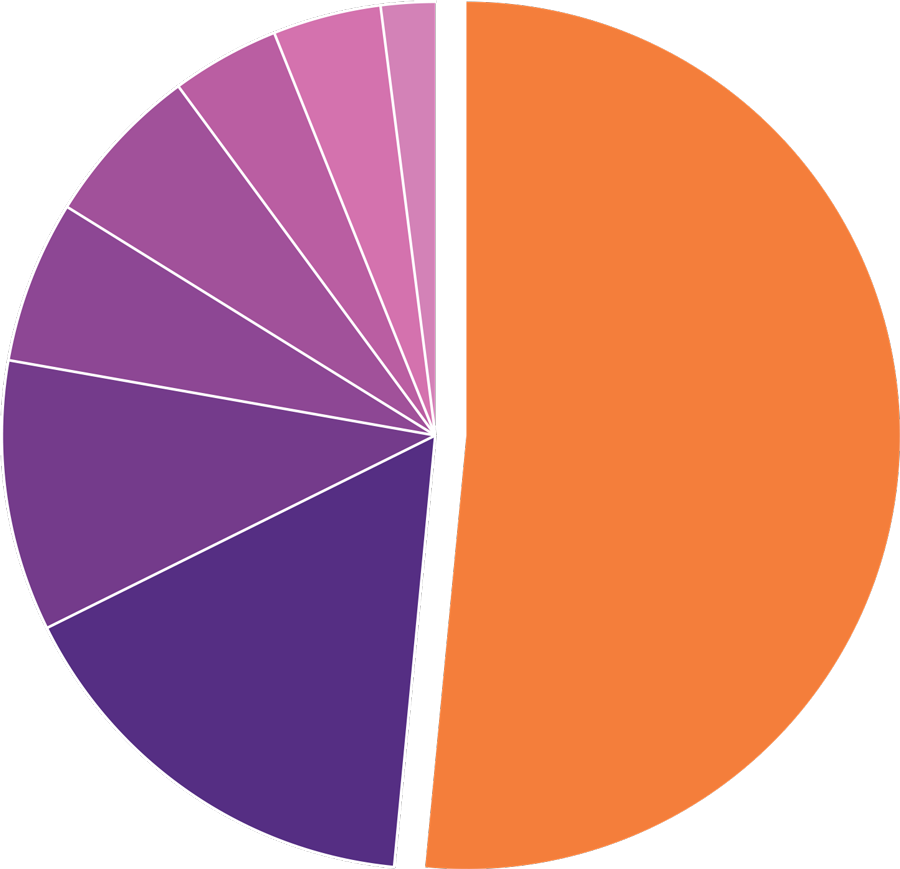 purple and orange Pie Chart