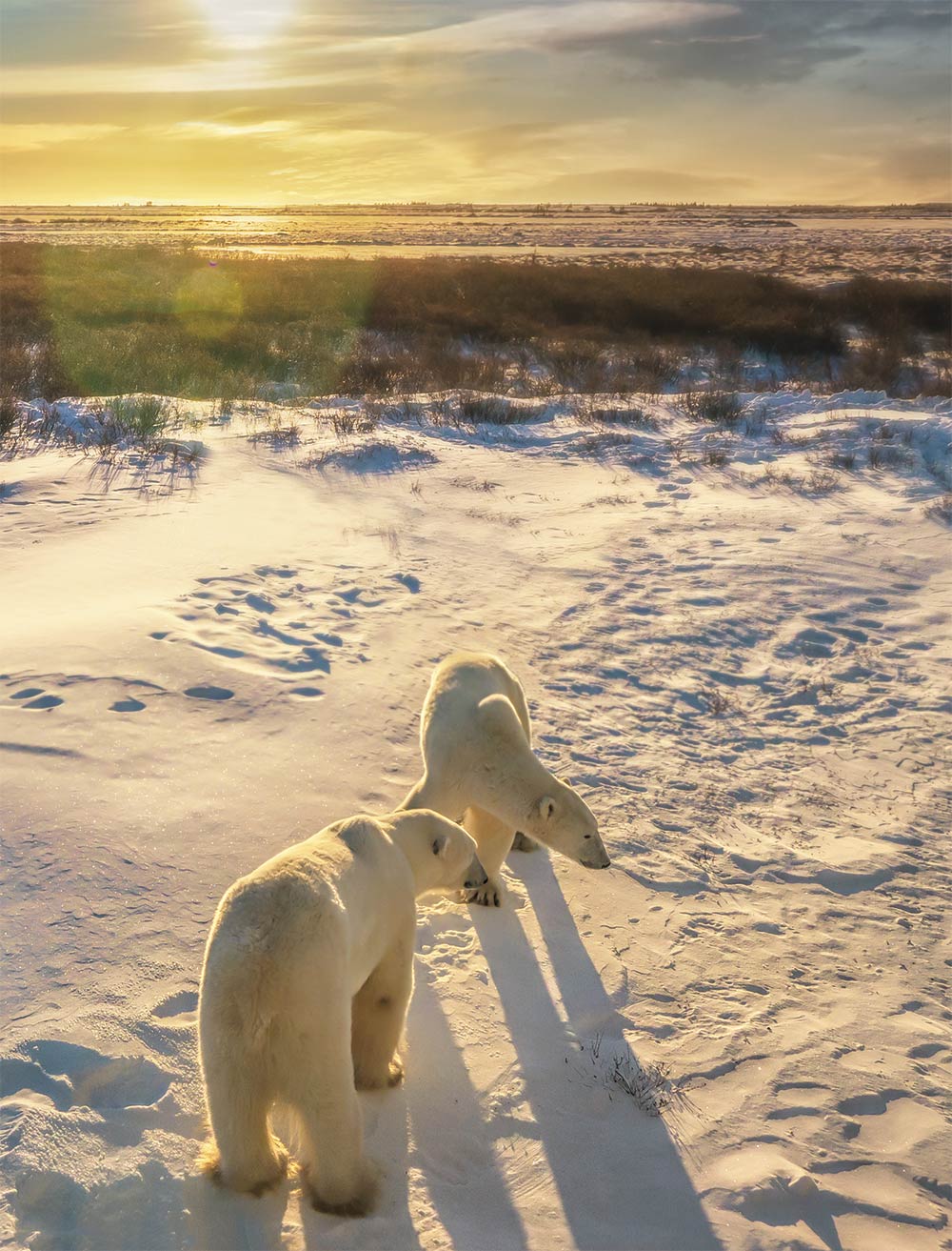 Environmental engineers ensure projects can be developed and operated safely