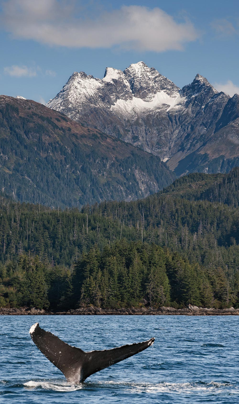 US Ecology has many clients in the tourism industry.