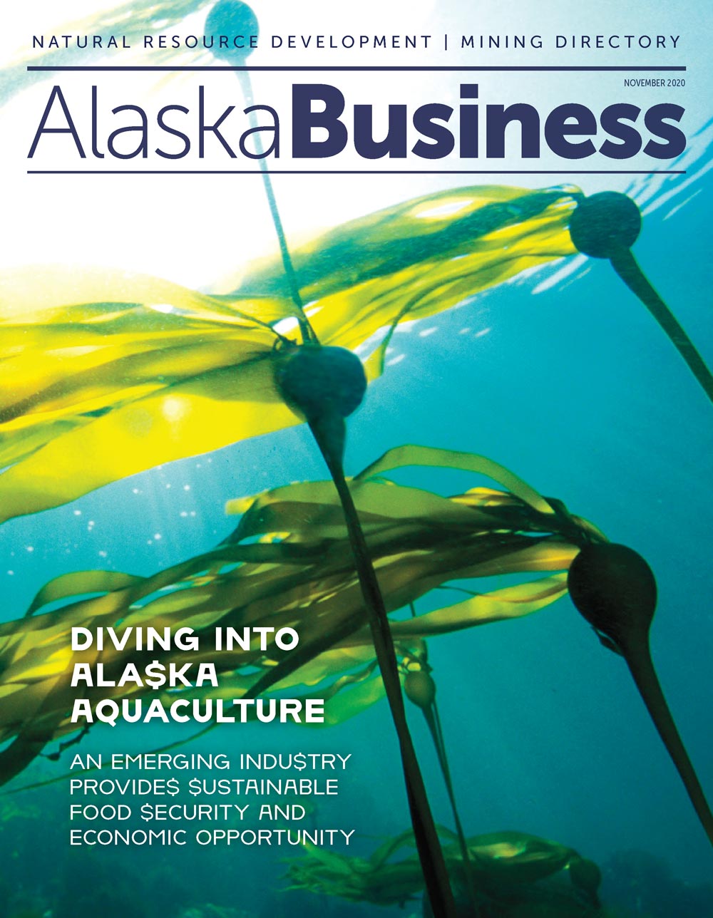 Alaska Business Magazine November 2020 Cover