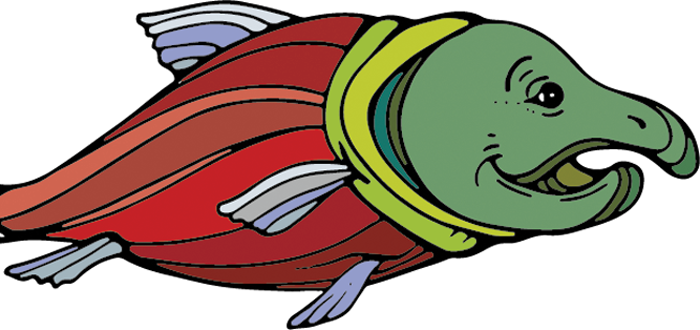 Fish swimming illustration