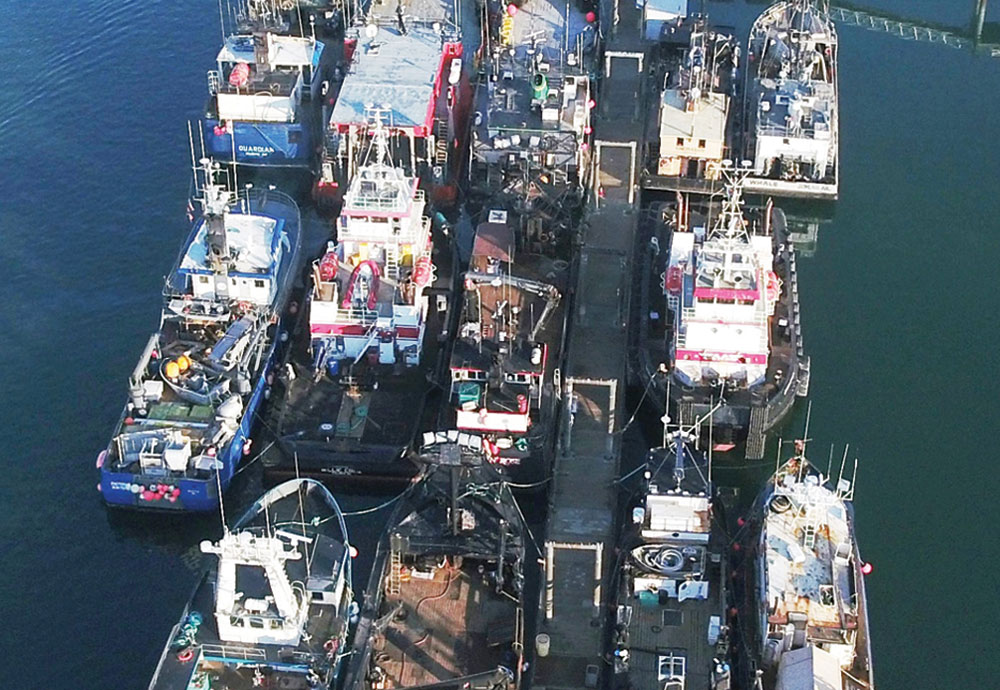 aerial view of cramped and packed vessels in Port of Alaska
