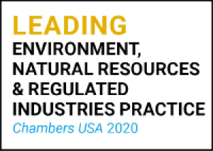 Leading environment, natural resources & regulated industries practice box