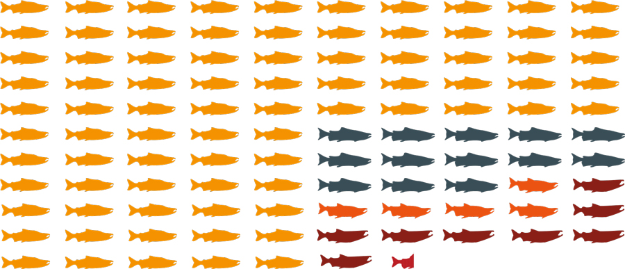 clipart of large group of fish that are orange, blue, dark orange, maroon, and red