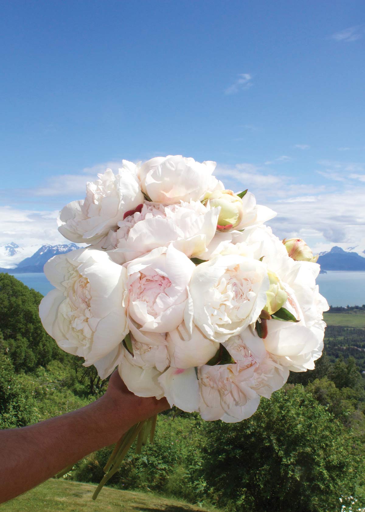 white bouquet of peonies