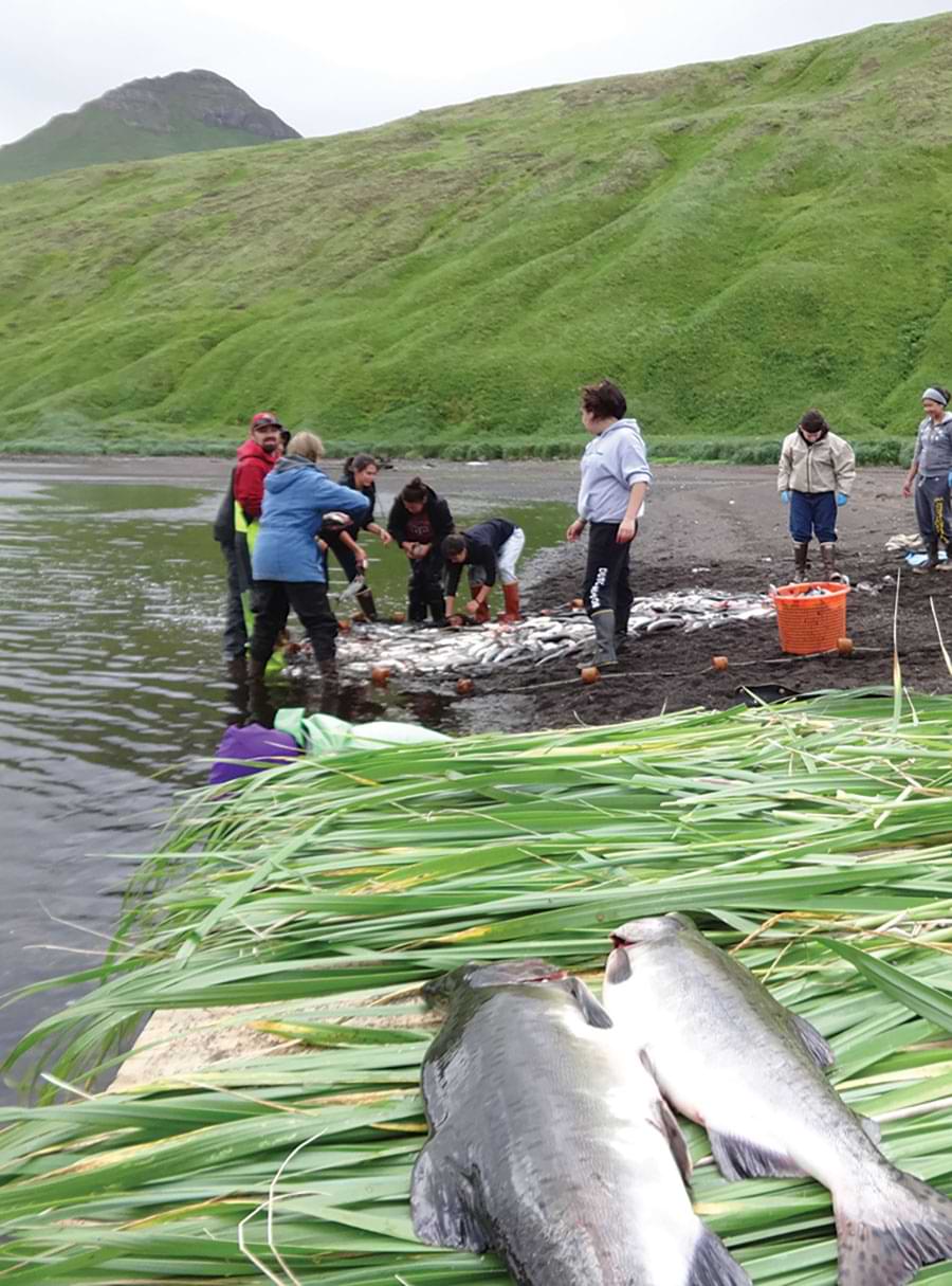 A group of individuals at a culture camp capture fish
