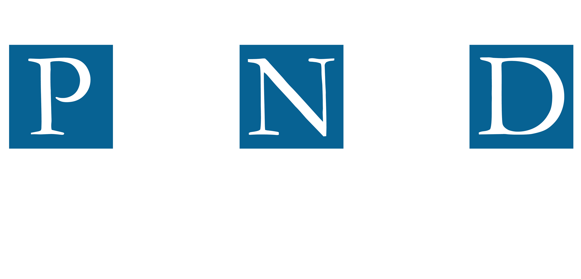 PND Engineers, Inc. logo