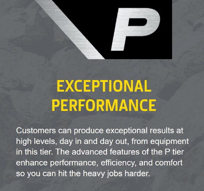 P: Exceptional Performance