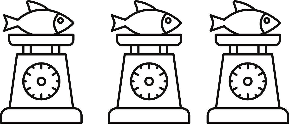 line drawing of three scales weighing 3 fish