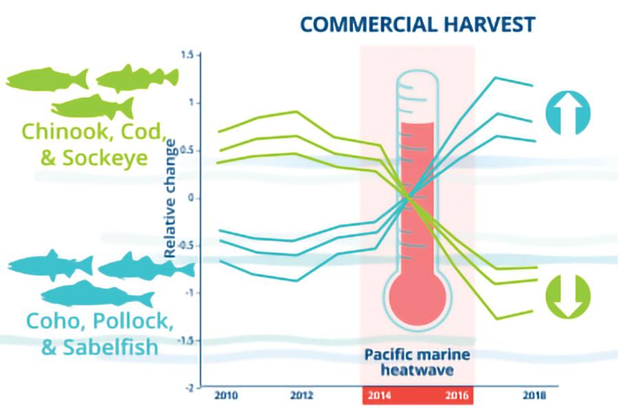 Commercial Harvest Graph