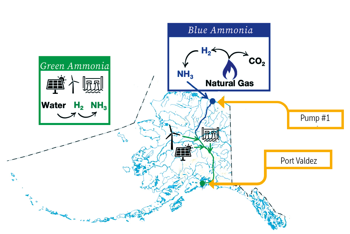 Part of Mighty Pipeline's pitch for sending ammonia down TAPS