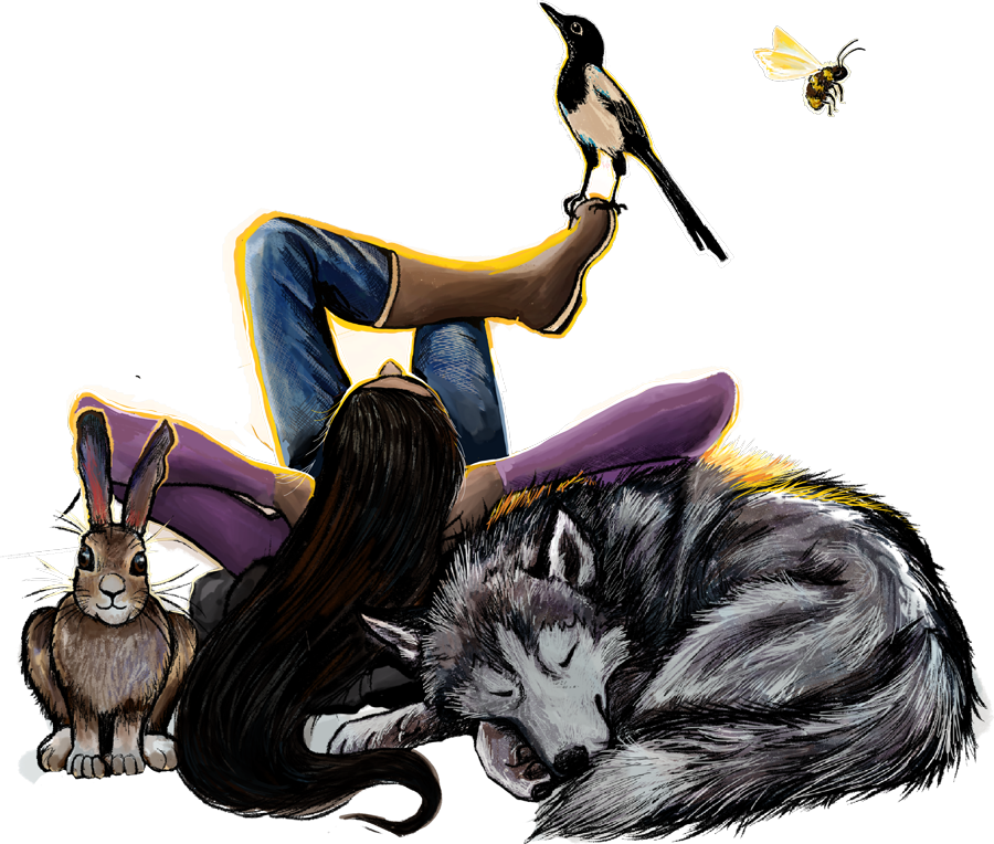 Illustration of a person laying down with a bird, wolf and a rabbit