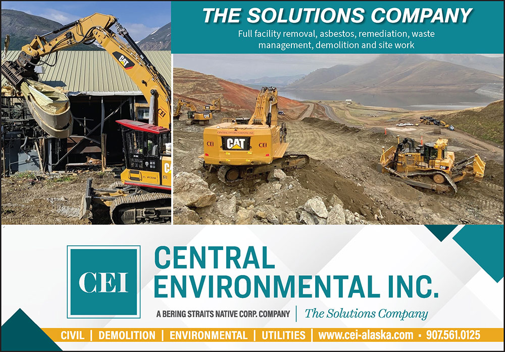 Central Environmental Inc Advertisement