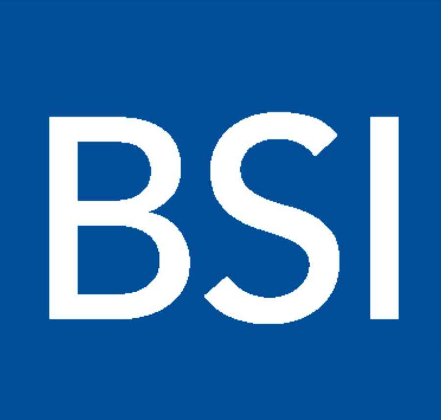 BSI Alaska logo