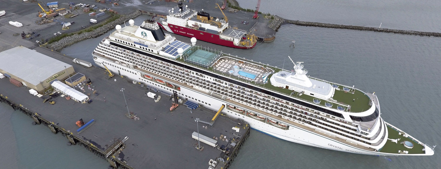 aerial view of a docked cruise ship