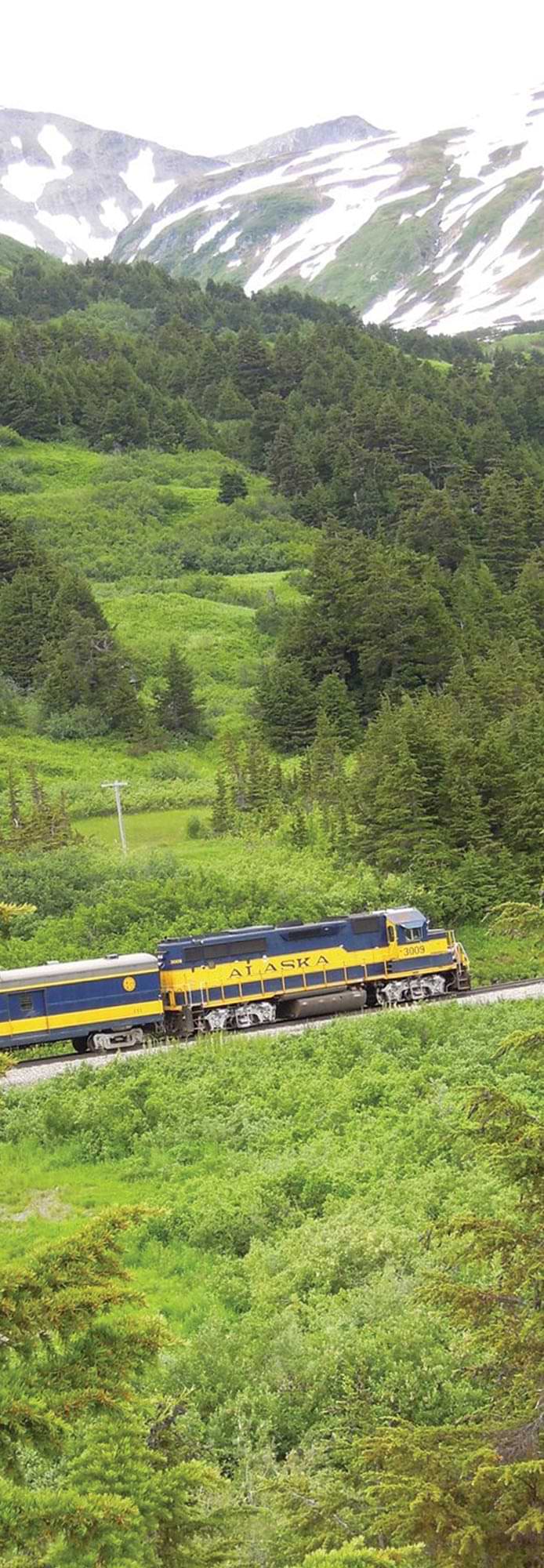 an Alaska Railroad train chugging up a hill in a forested area