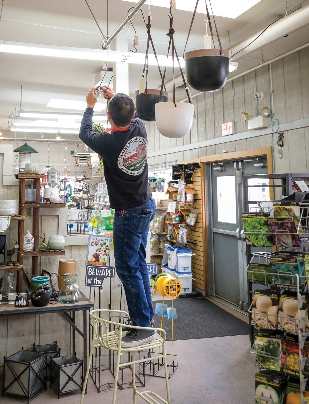 Alaska Mill & Feed employee hanging items in store