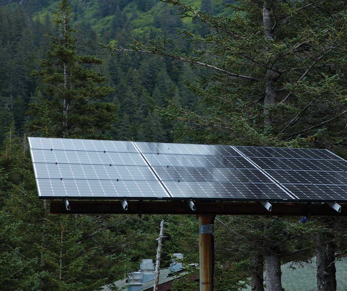 solar panel set up in a forest