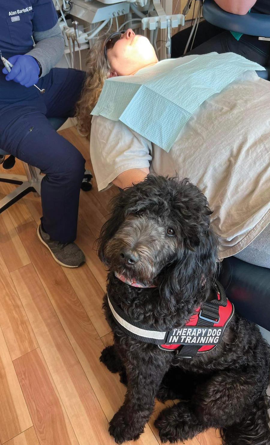 person at dentist with dog at side