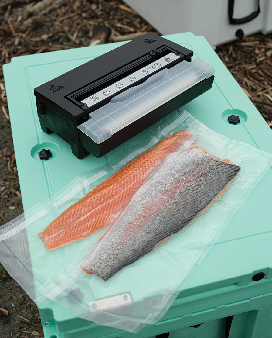 salmon, uncooked, on a mint colored cooler table