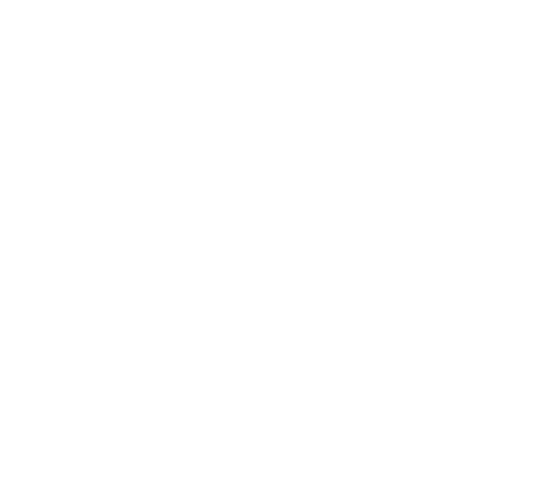 STG Incorporated logo