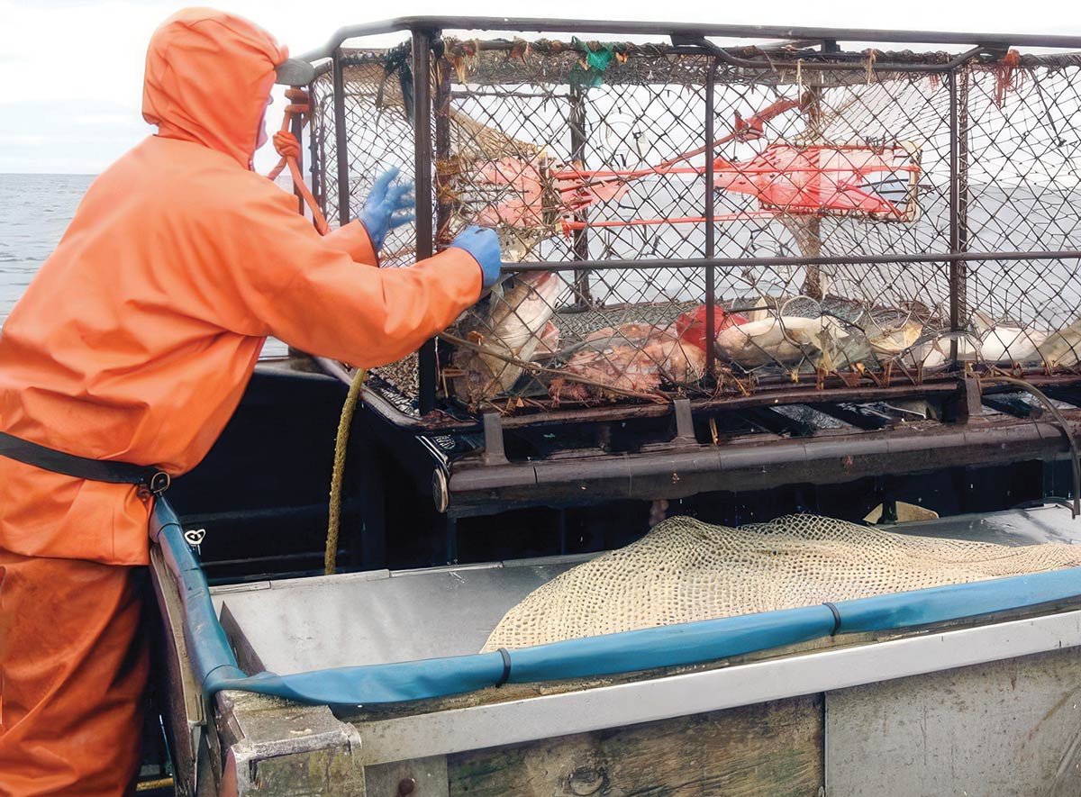 Hecla’s Greens Creek Mine, Northern Star Resources’ Pogo Mine, and Coeur’s Kensington Mine are all underground mines in Alaska The Alaska Bycatch Review Taskforce proposes rationalization in the Gulf of Alaska, similar to Bering Sea fisheries divided into quotas or shares.