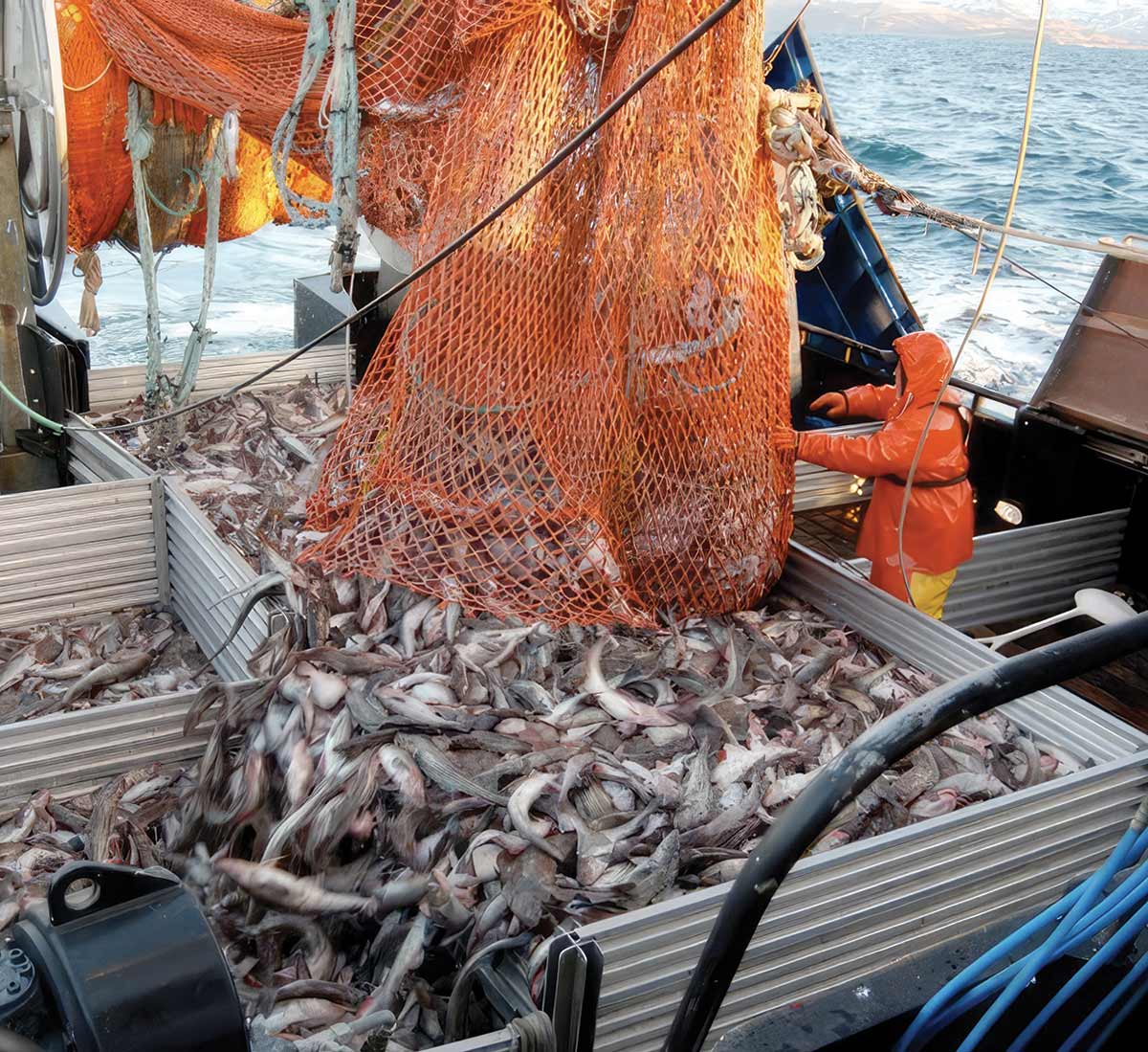 Hecla’s Greens Creek Mine, Northern Star Resources’ Pogo Mine, and Coeur’s Kensington Mine are all underground mines in Alaska The Alaska Bycatch Review Taskforce proposes rationalization in the Gulf of Alaska, similar to Bering Sea fisheries divided into quotas or shares.
