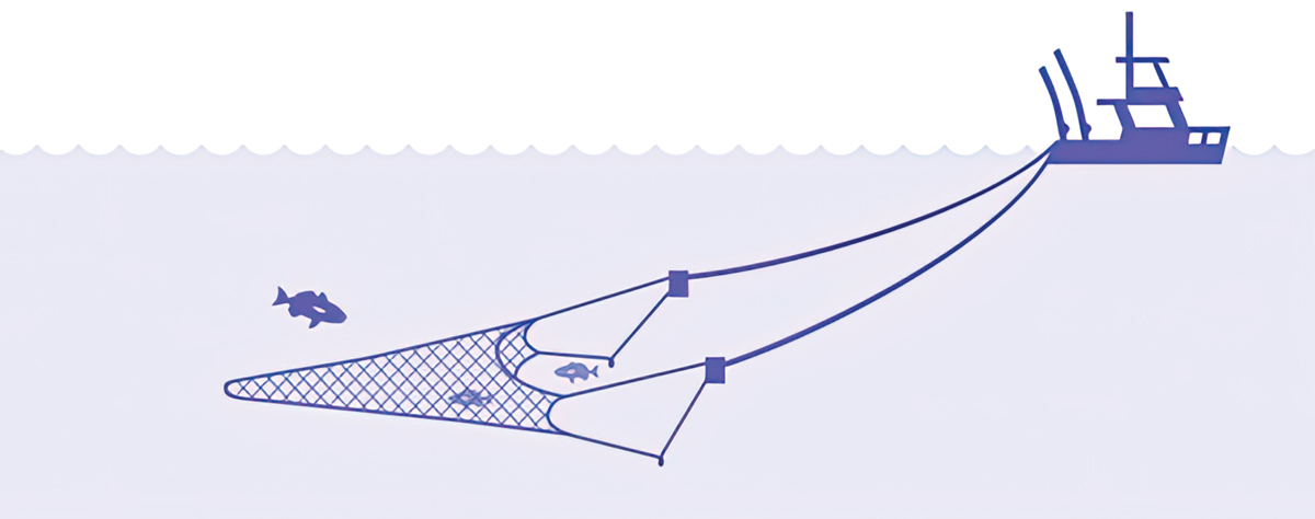 Vector image of trawler towing a fishing net