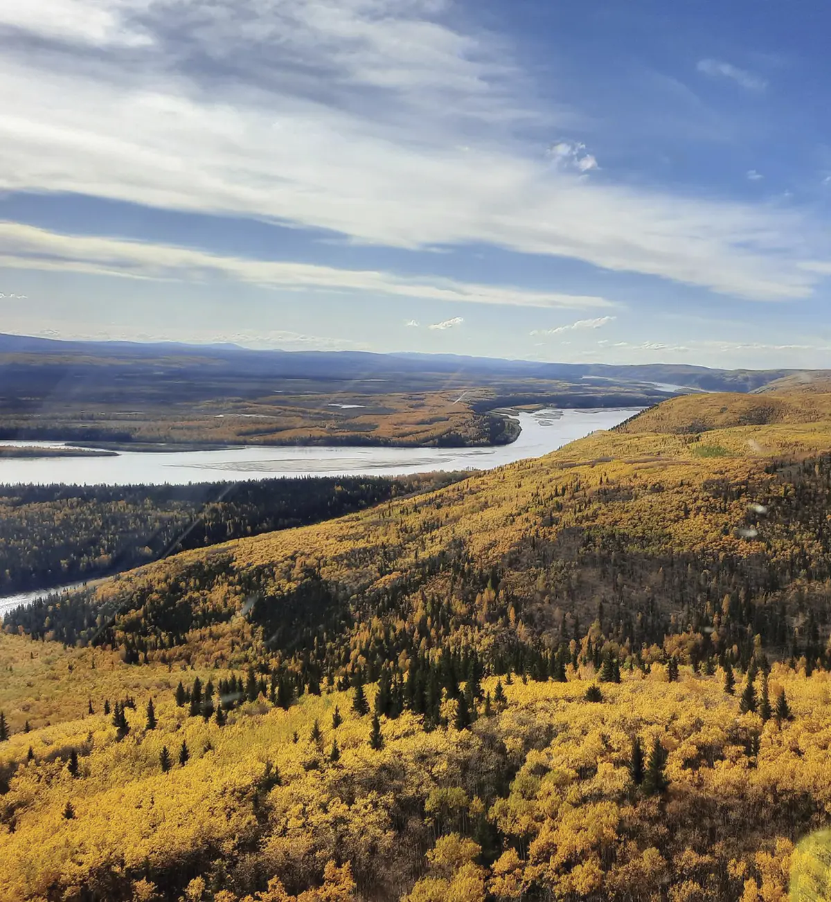 Aerial view of orange-yellow forests