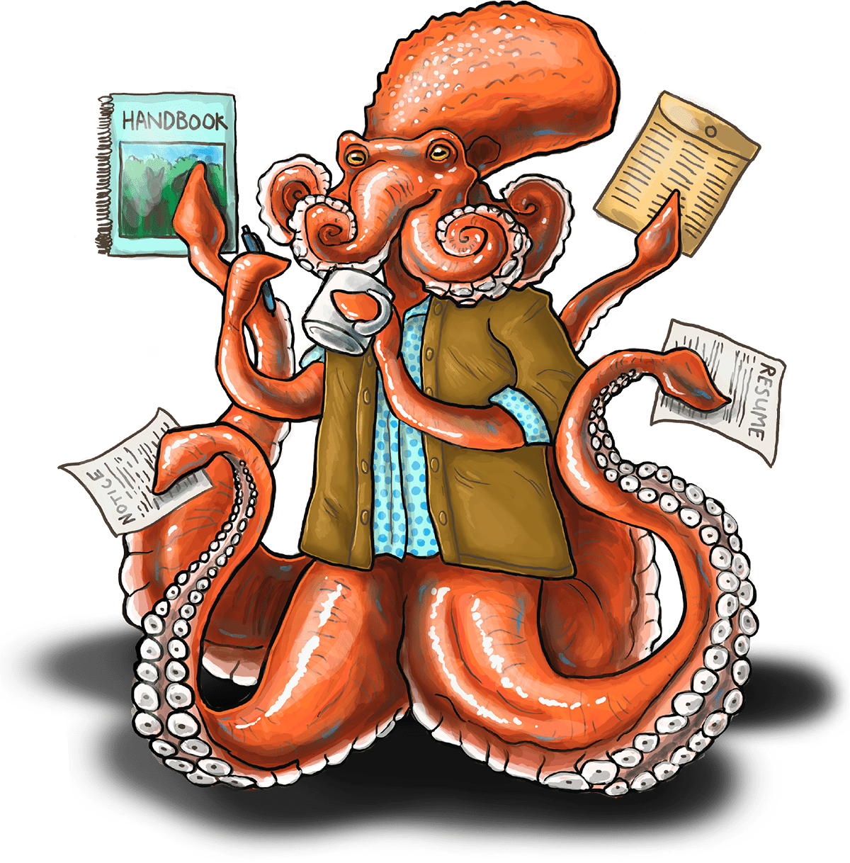 octopus illustration