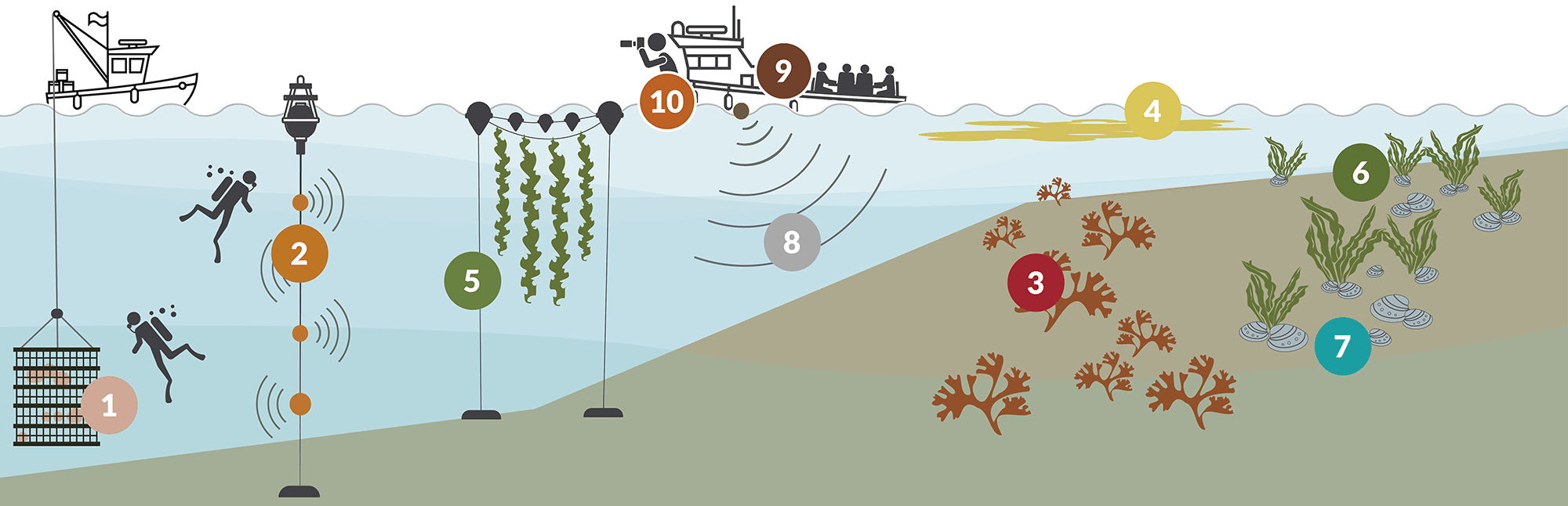 Simple vector image illustrating the ten different areas and equipment used in mariculture outlined in the article list