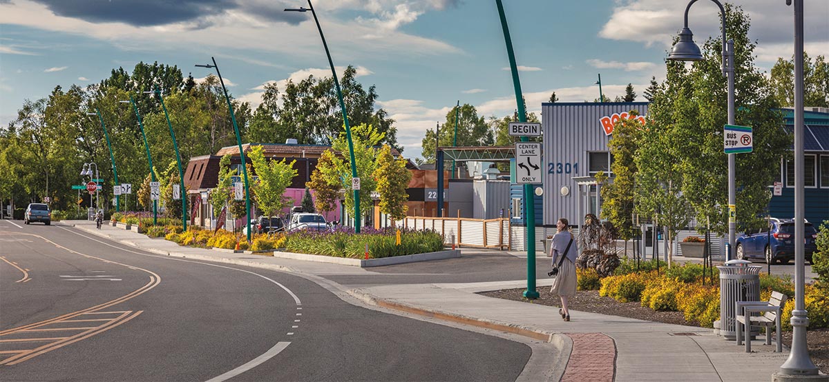 North Spenard Road with view of planter, benches, and crosswalks