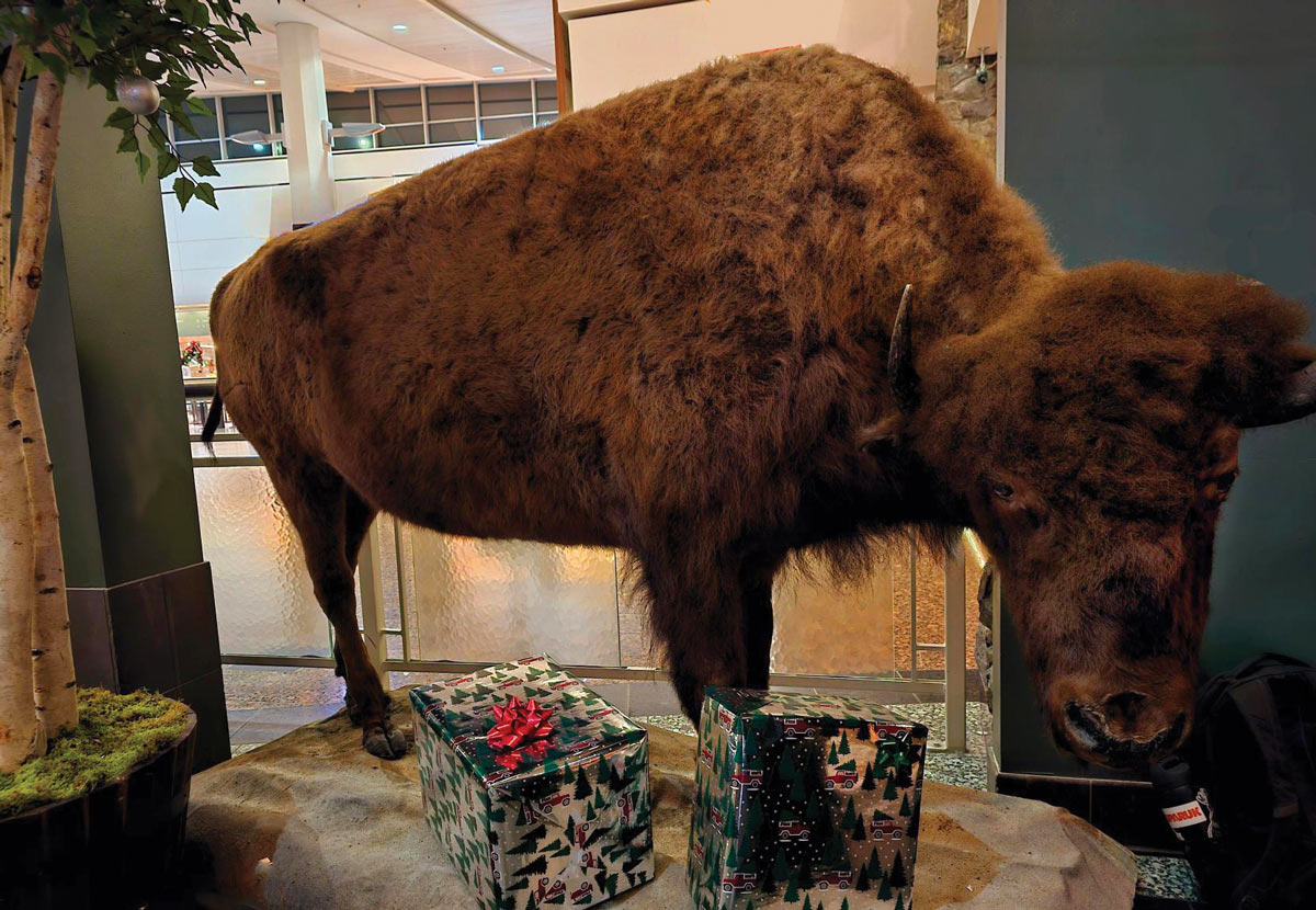 Would it be the Anchorage airport without a touch of taxidermy? David McCarthy’s decorative vision fits right in.