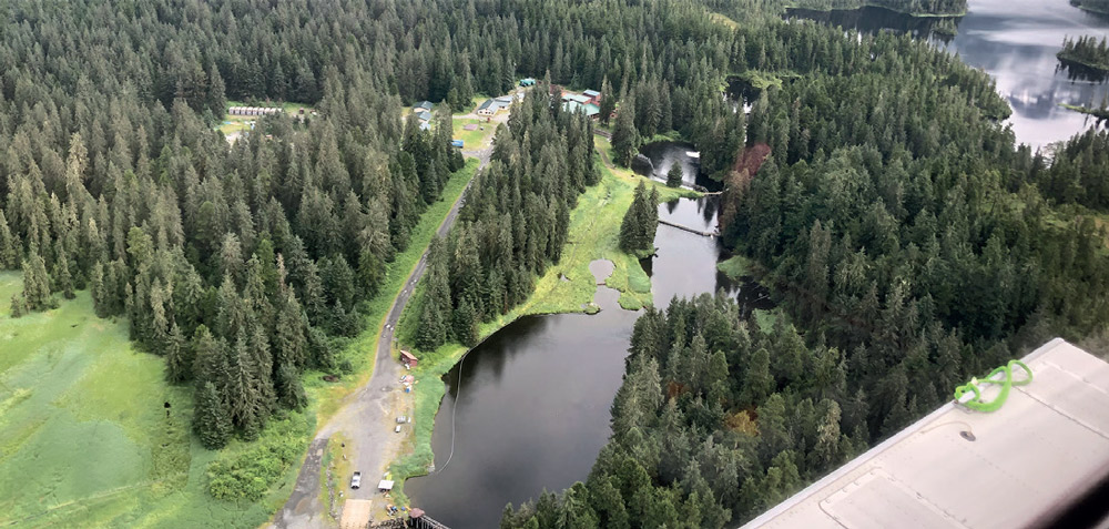 aerial view of outdoor area with a pond and trees