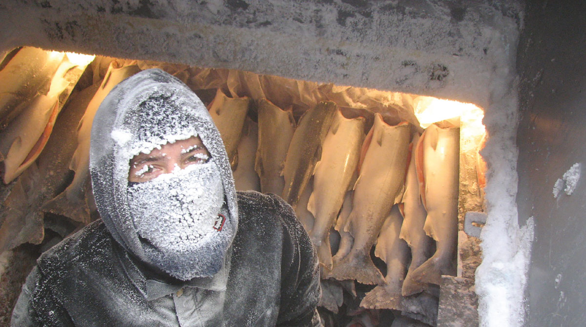 seafood processing worker in freezer with fish and ice covering their clothing