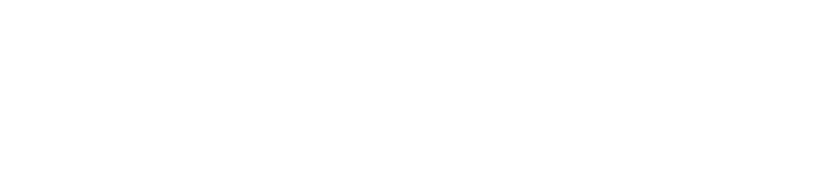 LYNDEN Innovative Transportation Solutions logo in white