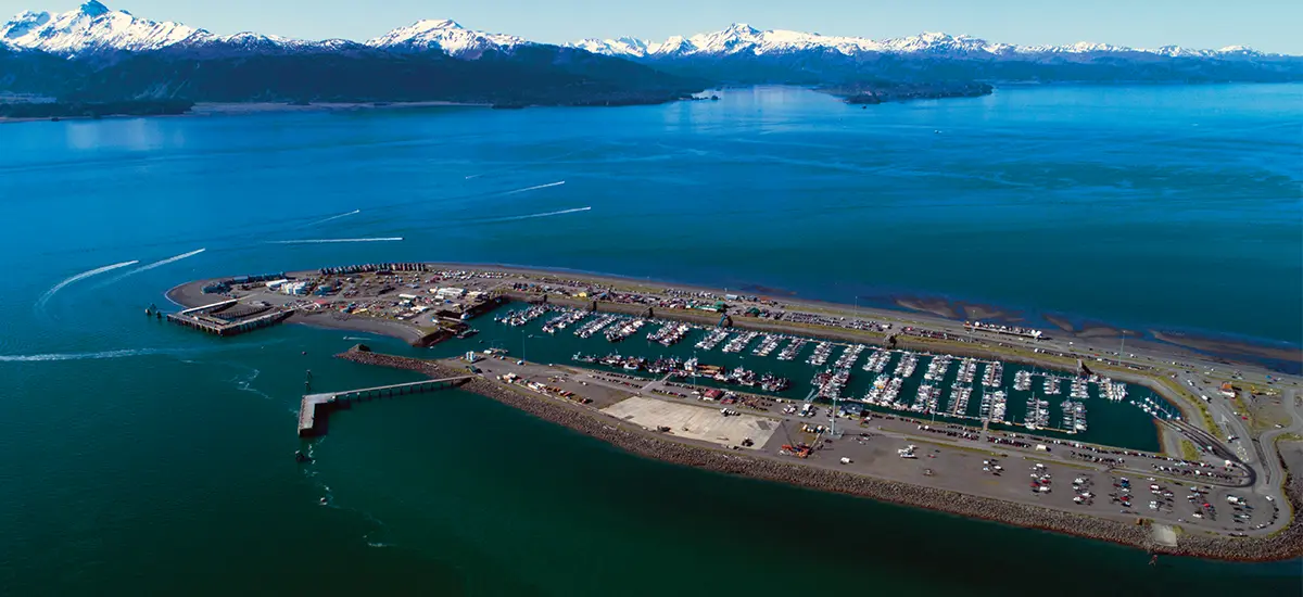 aerial view of Homer Harbor's float system