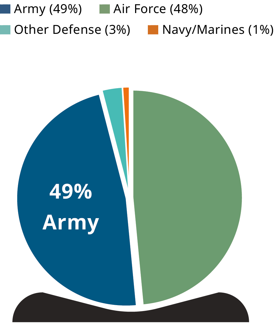 A pie chart showing the distribution of military branches. The Army occupies 49%, Air Force 48%, Other Defense 3%, and Navy/Marines 1%