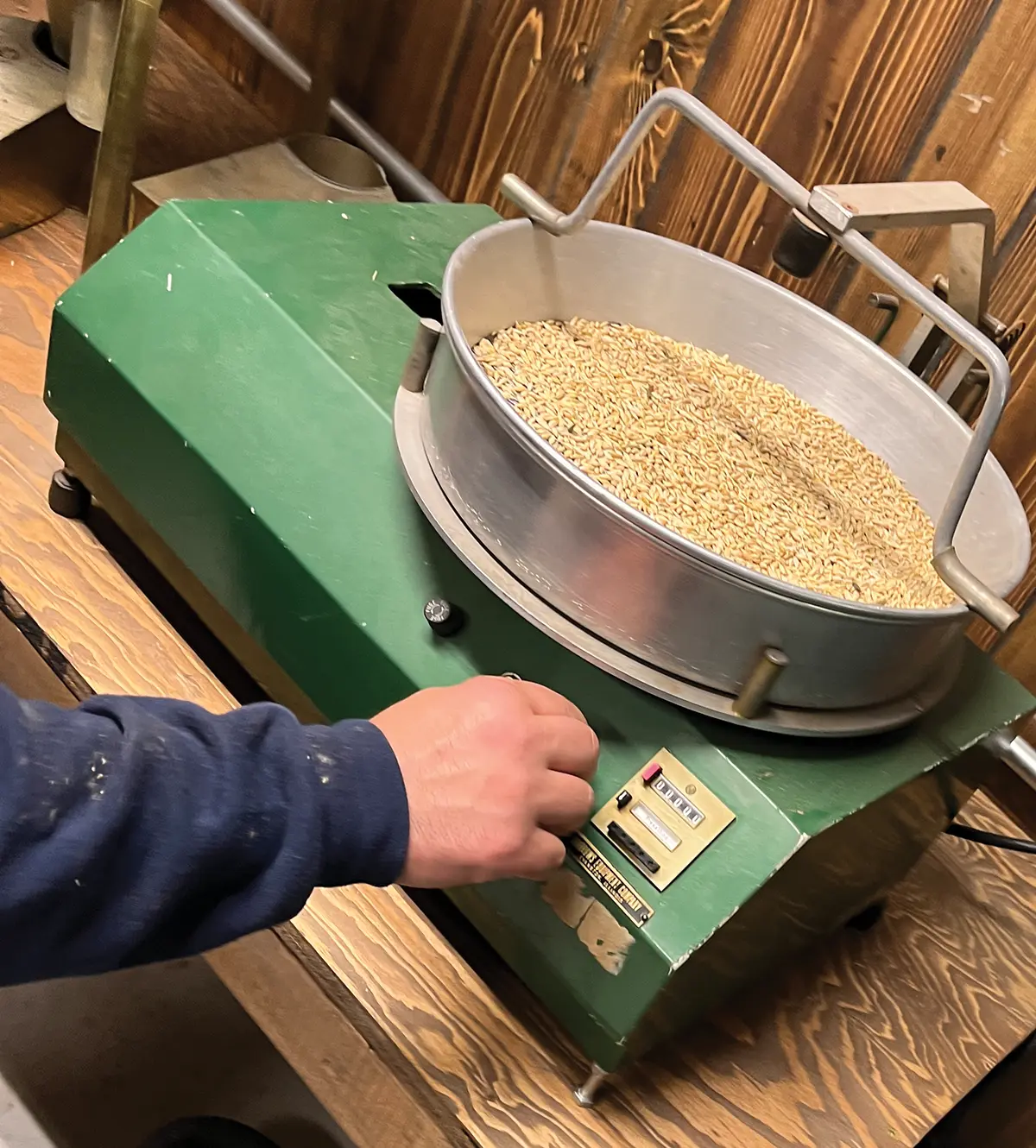 Portrait photograph of a green metal machine holding an aluminum bowl shape full of barley cereal grain seeds as a person's hand is seen adjusting the green machine's controls