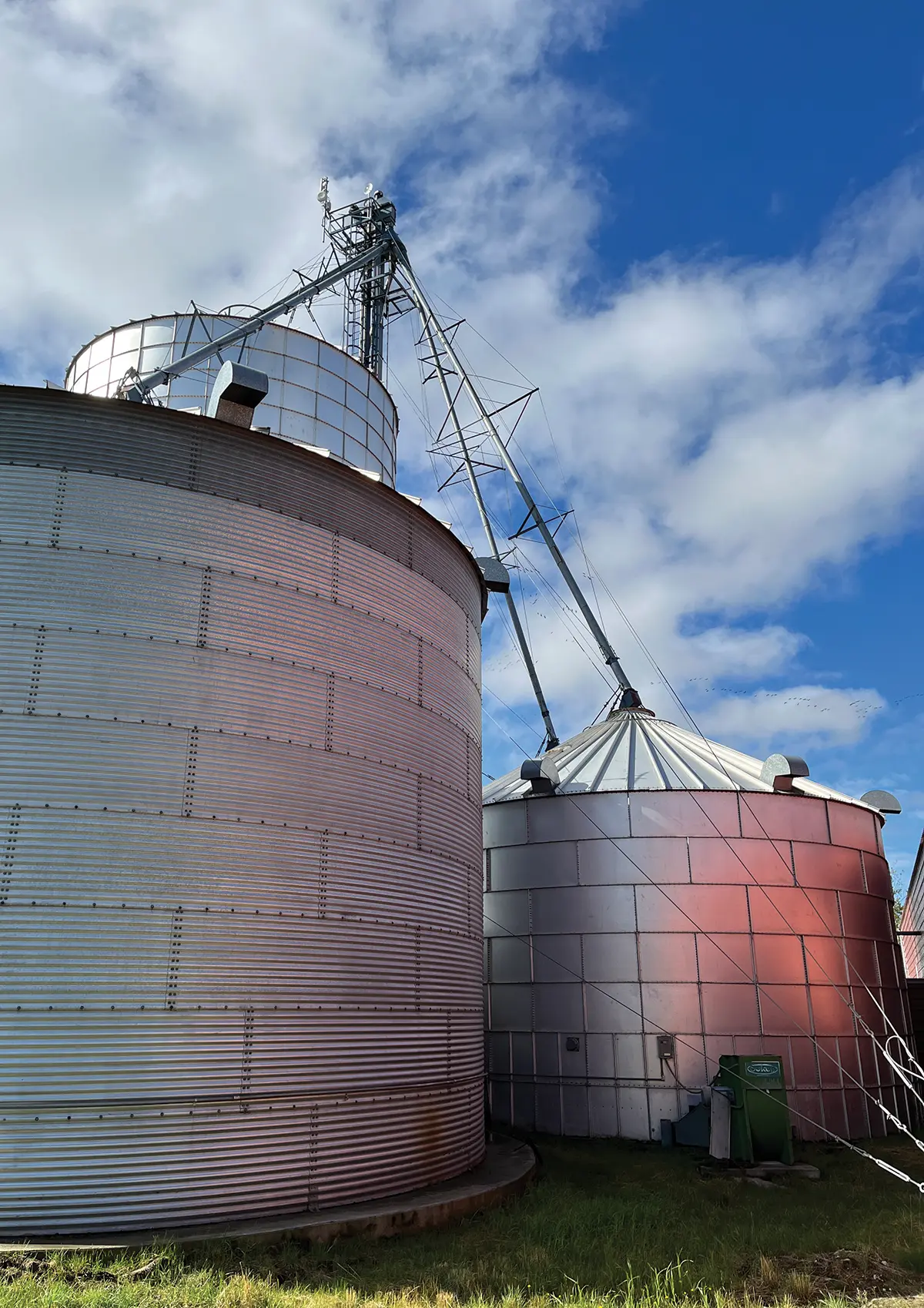 Portrait photograph of co-op galvanized bins all linked up by metal steel rusty structure shapes