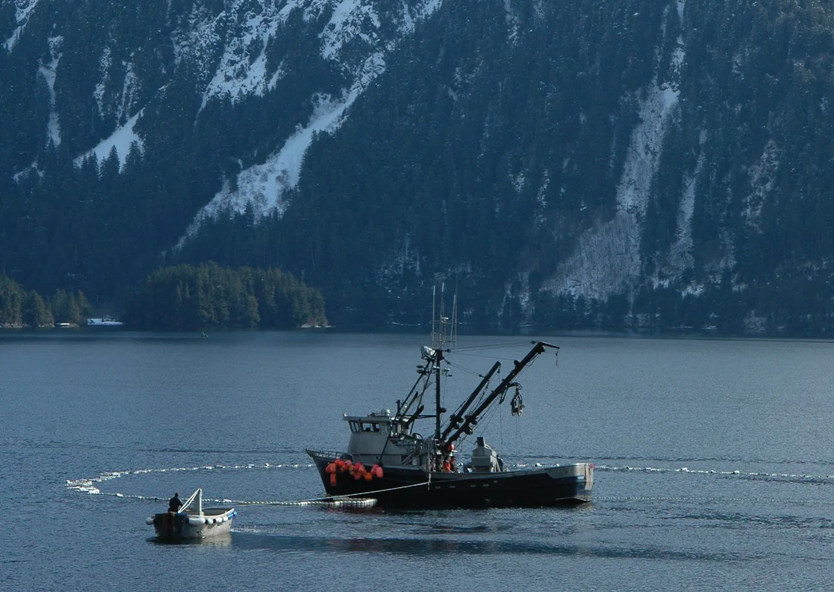 herring boat laying a net
