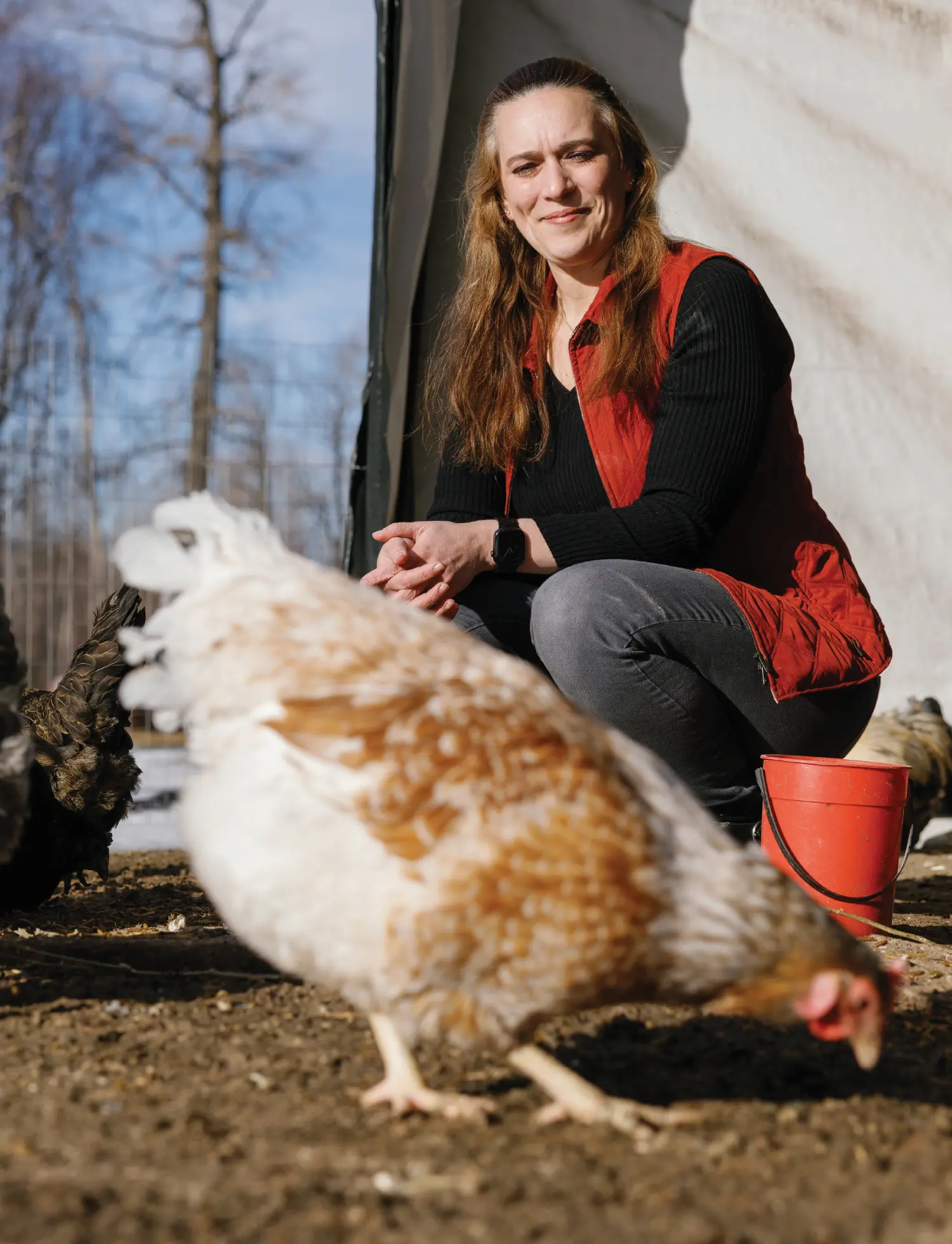 Portrait orientation outdoor close-up photograph view of Christine Hopkins grinning and crouched down for a pose in long brown hair as she is wearing a red quilted vest over a black long-sleeved sweatshirt and dark gray jeans with her situated in a farm area setting among a few several chickens nearby her; A red bucket is visible beside her and the background shows a blurry fence, trees, and a blue sky