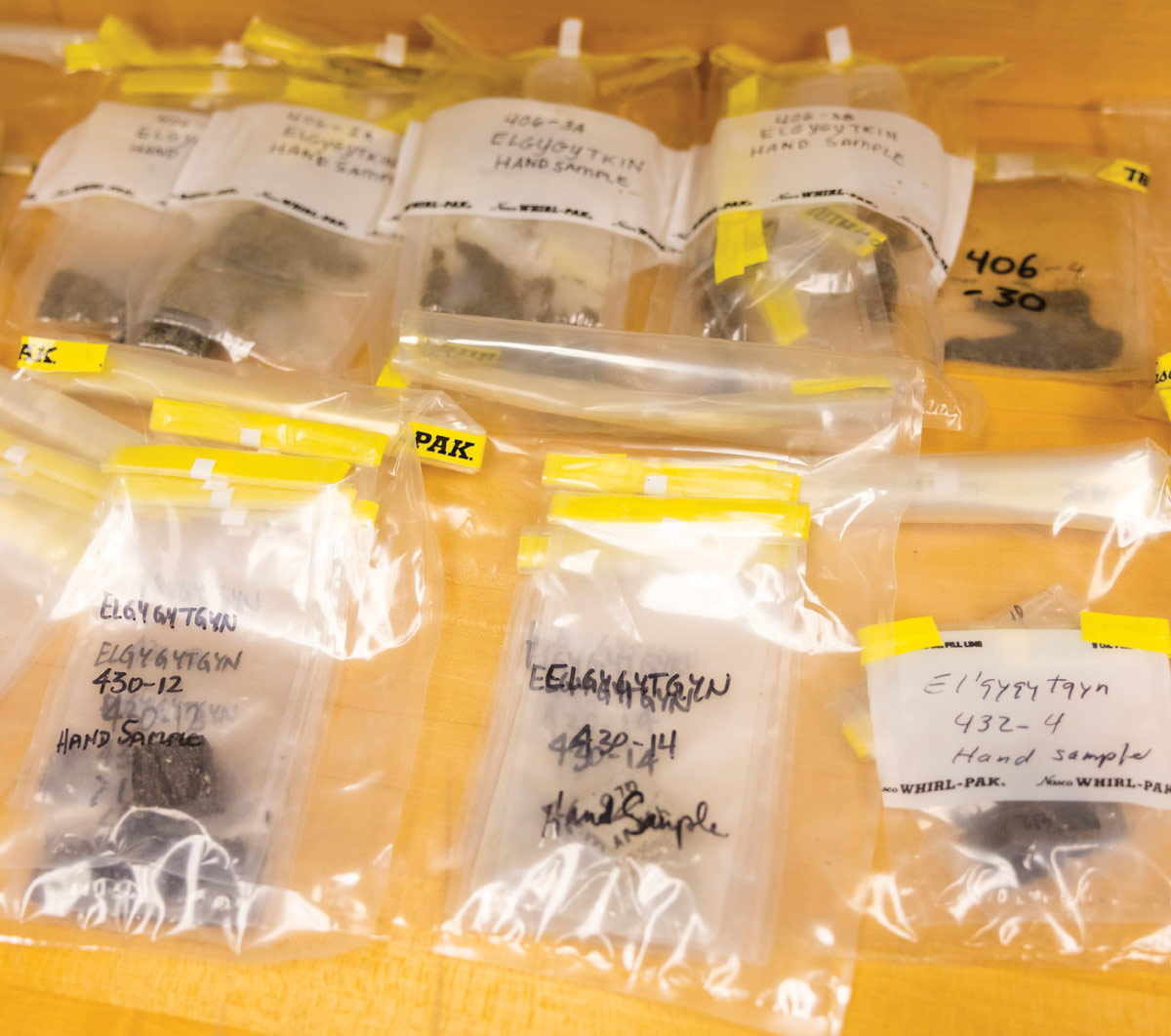 Transparent plastic bags with geological hand samples and handwritten labels on a wooden surface.