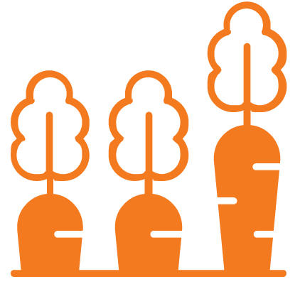 Stylized orange icon of three rows of root vegetables resembling carrots, each with green tops.