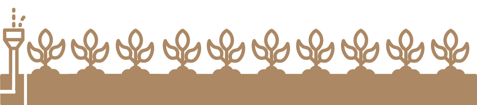 Horizontal illustration of an irrigation sprinkler spraying water over a long row of brown crops with two leaves each.