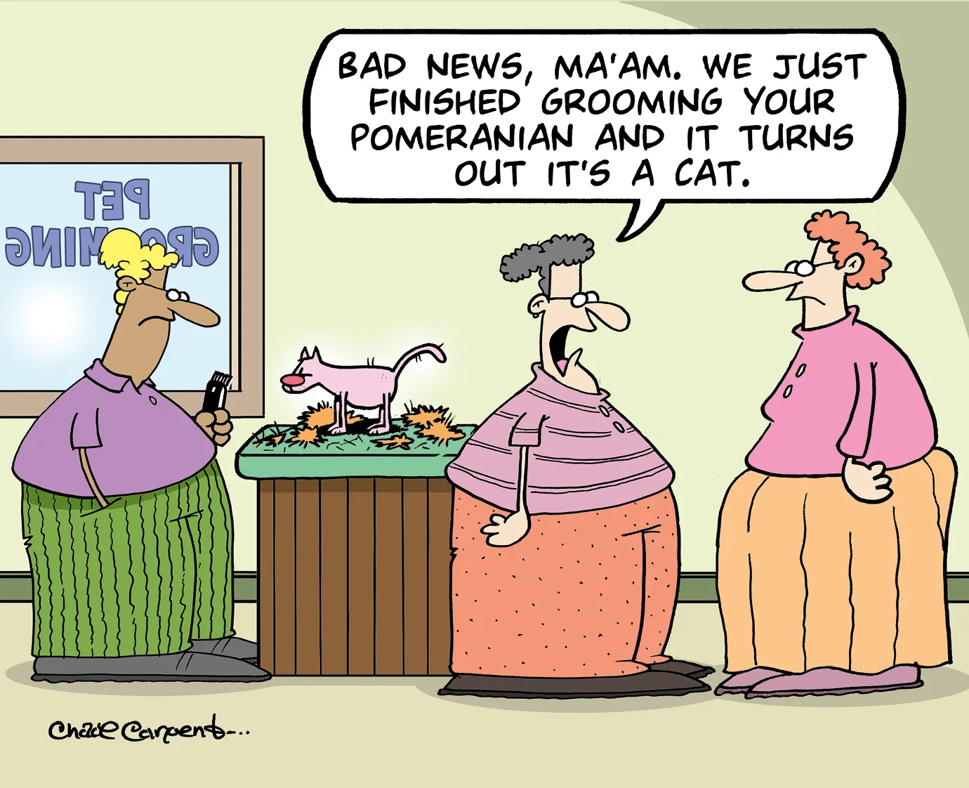 Cartoon of a pet grooming salon where a groomer says to a woman, “Bad news, ma’am. We just finished grooming your Pomeranian and it turns out it’s a cat.” A naked, shaved cat stands on the grooming table, surrounded by clumps of fur.
