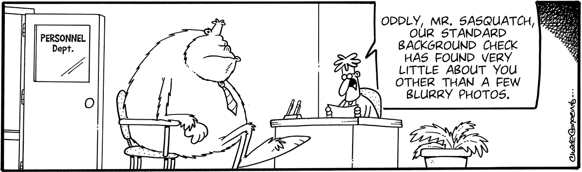 "Oddly, Mr. Sasquatch, our standard background check has found very little about you other than a few blurry photos." comic strip