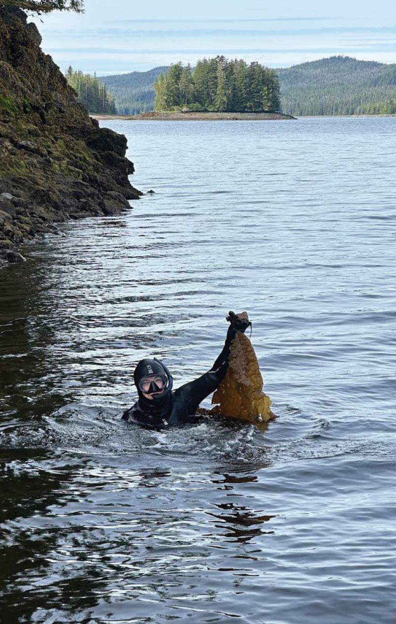 person in scuba gear holding up large piece of seaweed in water