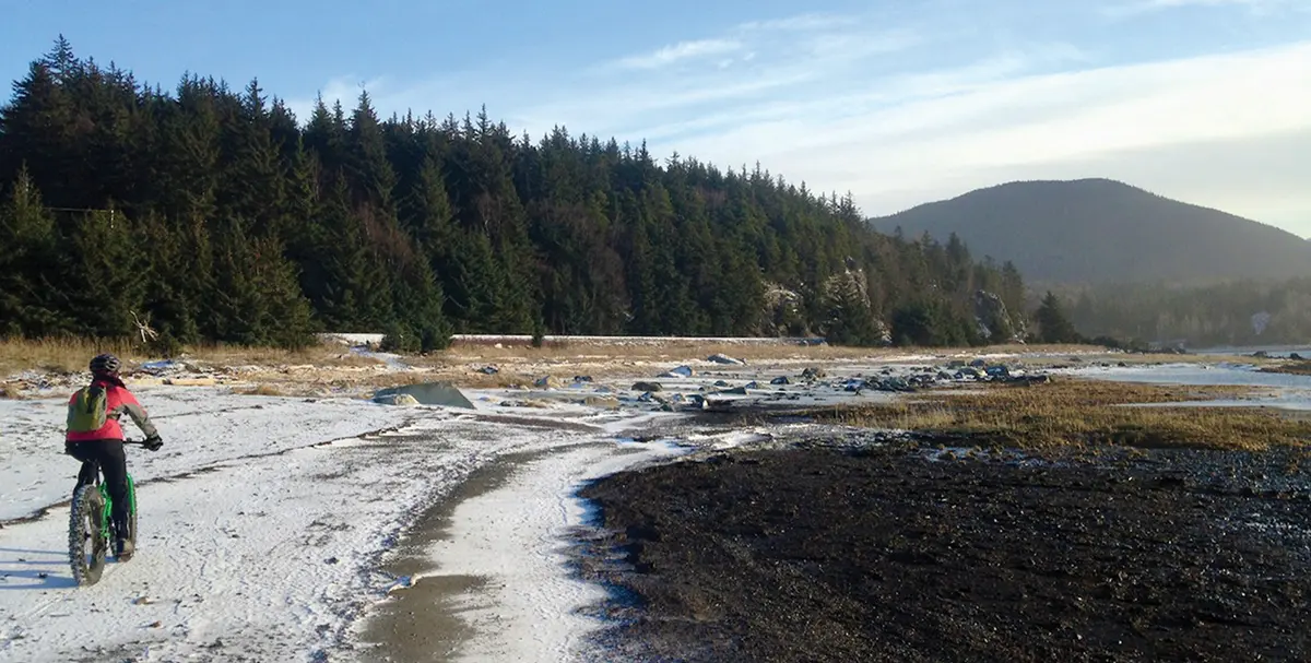 A person riding a bike on a snow-covered, muddy trail next to a dense evergreen forest.